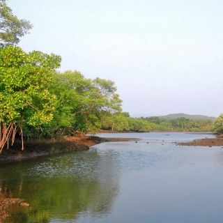 Sundarbans – Mangrovenfahrt