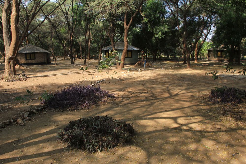 Mango Camp in Kapoeta