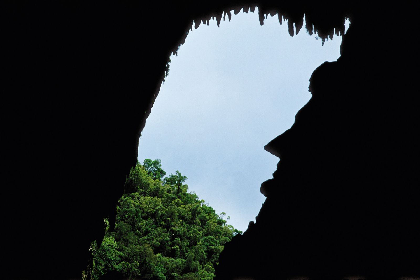 Ausblick aus einer Höhle im Mulu-Nationalpark