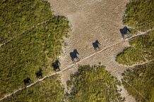 Zebras in der Makgadikgadi-Pfanne