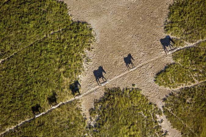 Zebras in der Makgadikgadi-Pfanne © Diamir