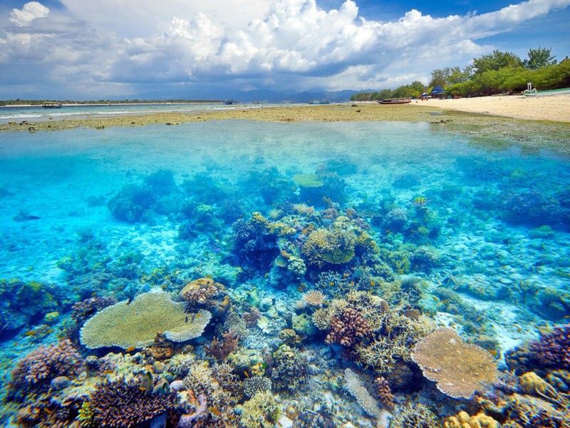 Korallenriff vor Gili Air