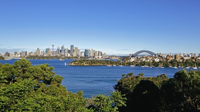 Blick vom Zoo Sydney auf den Hafen