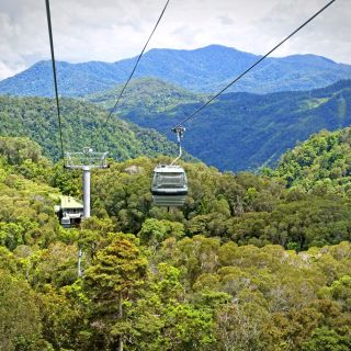 Kuranda Skyrail – Seilbahnfahrt über den Regenwald