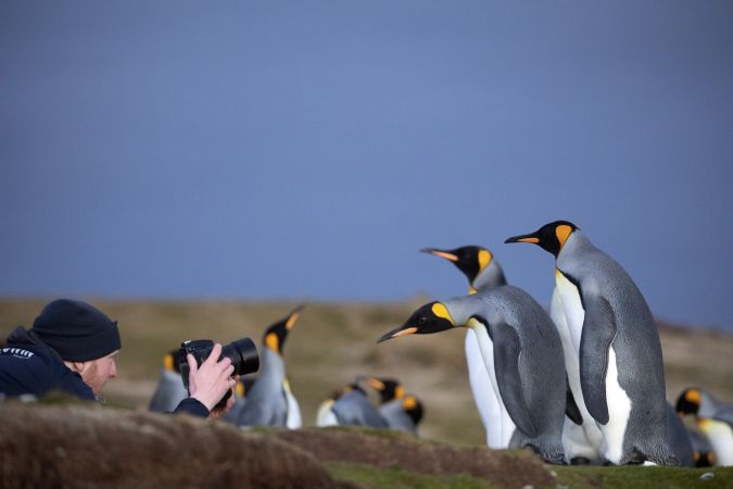 Pinguine aus allen fotografischen Perspektiven © Diamir
