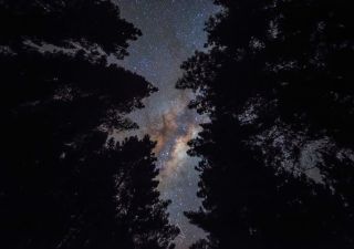 Nachthimmel über dem Lake Mc Laren