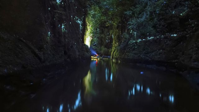 Nachtfahrt im Kayak durch die Glühwürmchen-Klamm