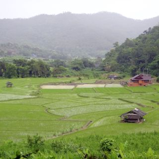 Blick aus dem Camp in die Umgebung von Mae Sapok