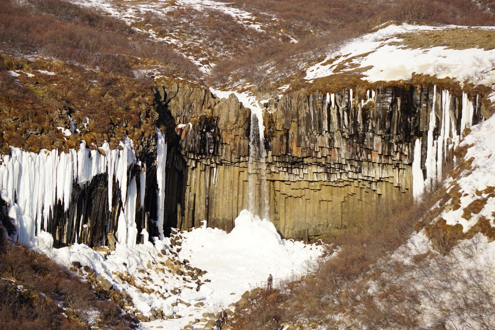 Das bekannte Fotomotiv Svartifoss, eingesäumt von Basaltsäulen