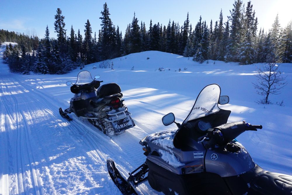 Rasante Snowmobil-Tour durch die endlosen Wälder