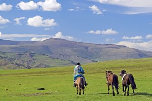 Pferde vor Bergen in der Mongolei