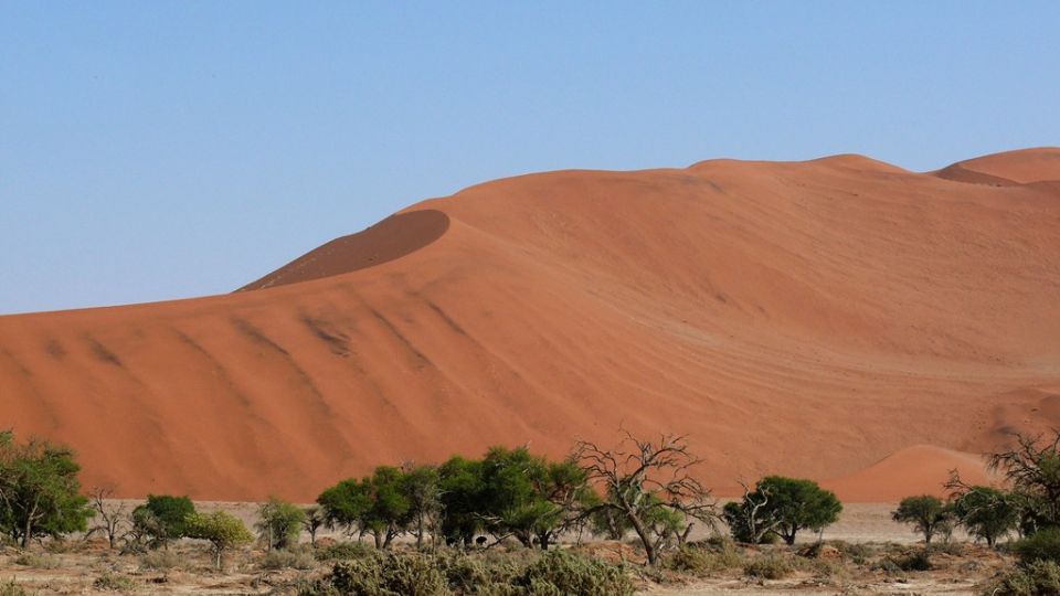 Im Sossusvlei befinden sich die höchsten Sanddünen der Welt