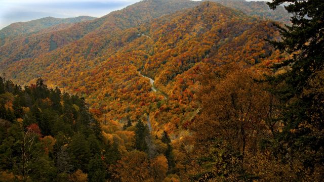 Herbst in den Great Smoky Mountains bei Sevierville, Tennessee