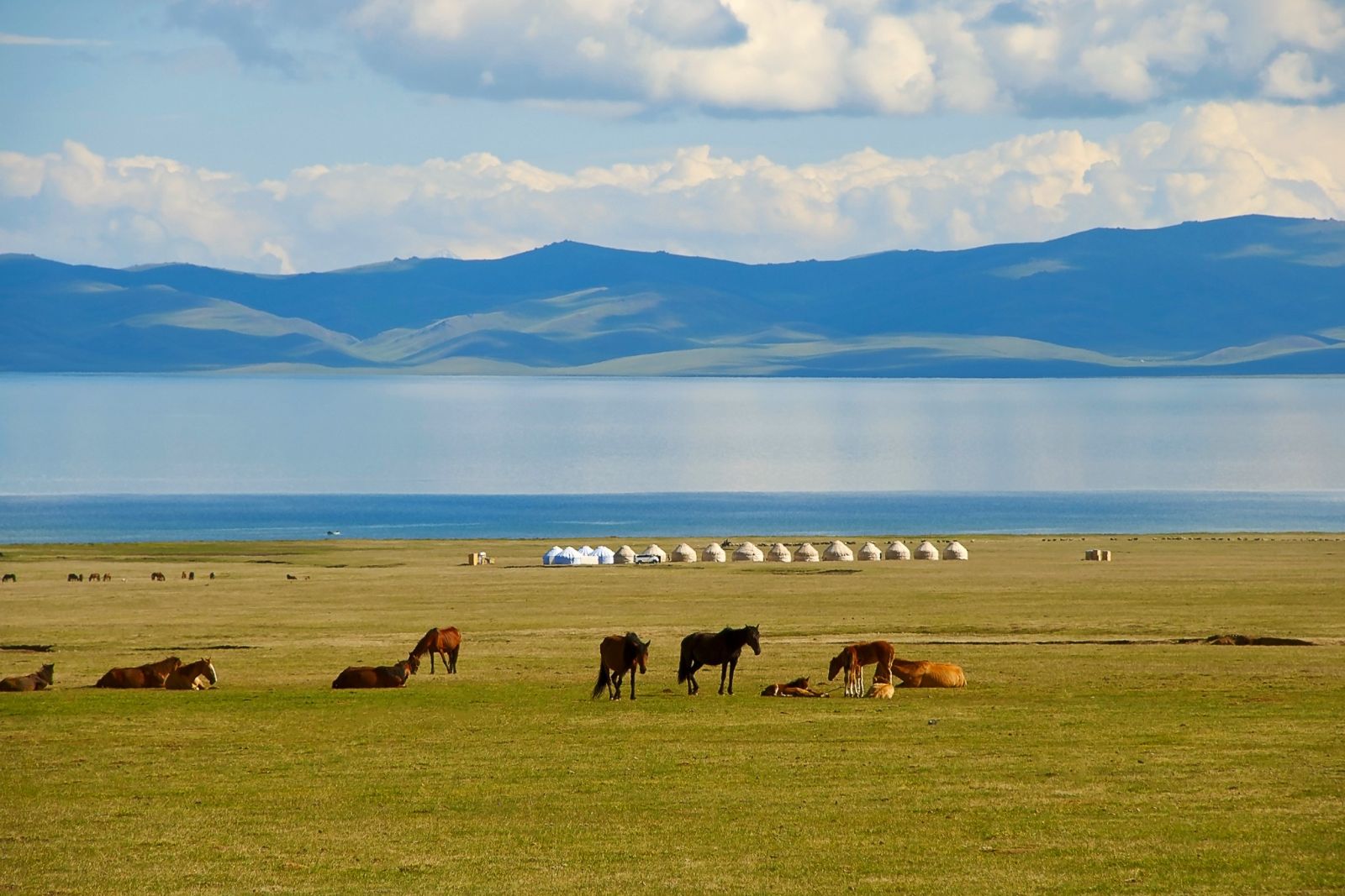 Typisch Kirgistan: Pferde, Jurten, Weite