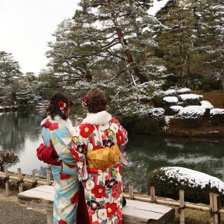 Japanerinnen im traditionellen Kimono bestaunen die Gartenkunst