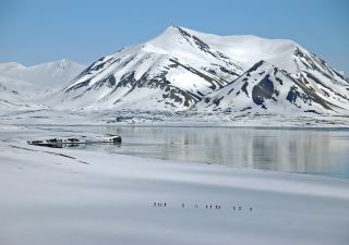 Schneeschuhwanderung in Spitzbergen