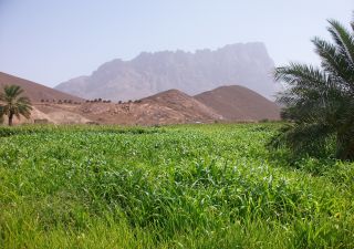 Jebel Mish bei Al Ayn