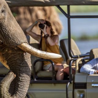 Nah dran auf Safari - in Mana Pools kein Problem