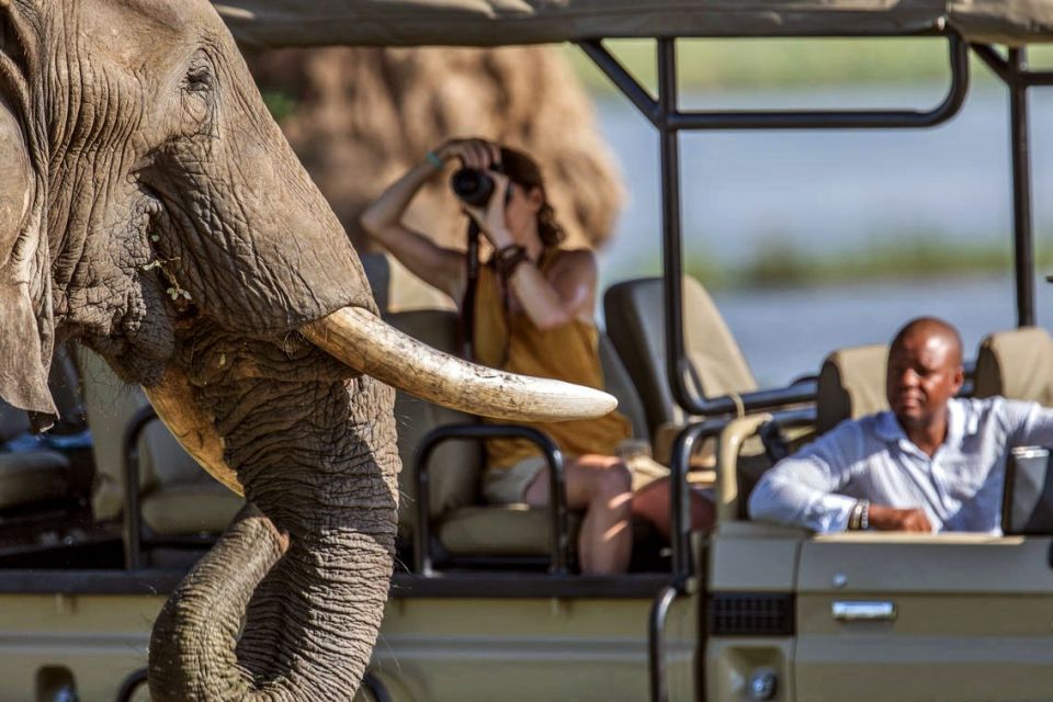 Nah dran auf Safari - in Mana Pools kein Problem