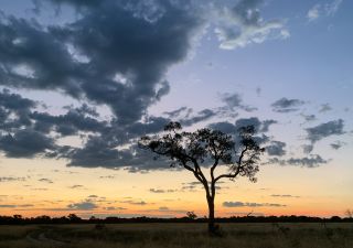 Sonnenuntergang in Savuti, Chobe National Park, Botswana