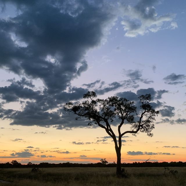 Sonnenuntergang in Savuti, Chobe National Park, Botswana