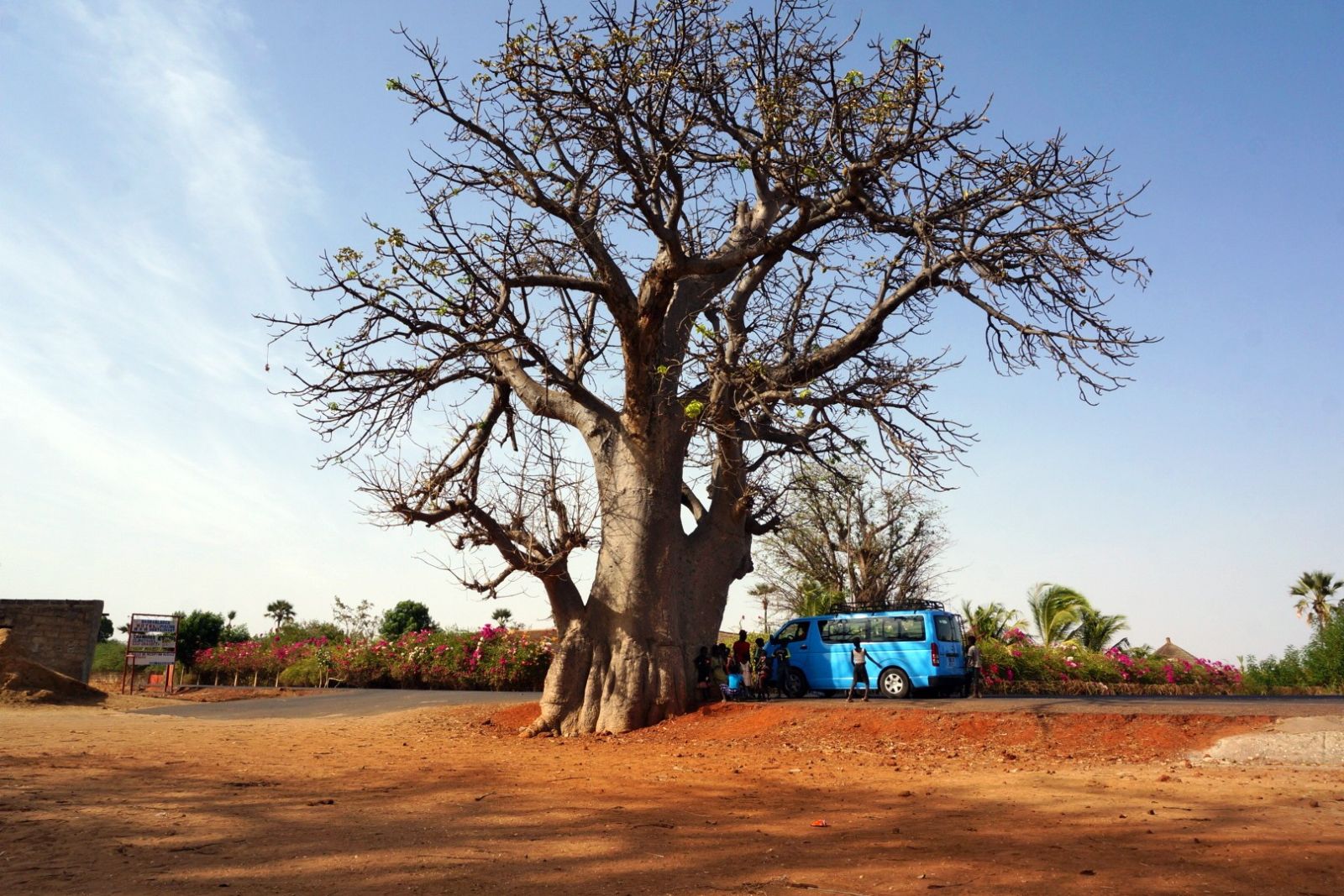 unser Bus am Baobab-Baum