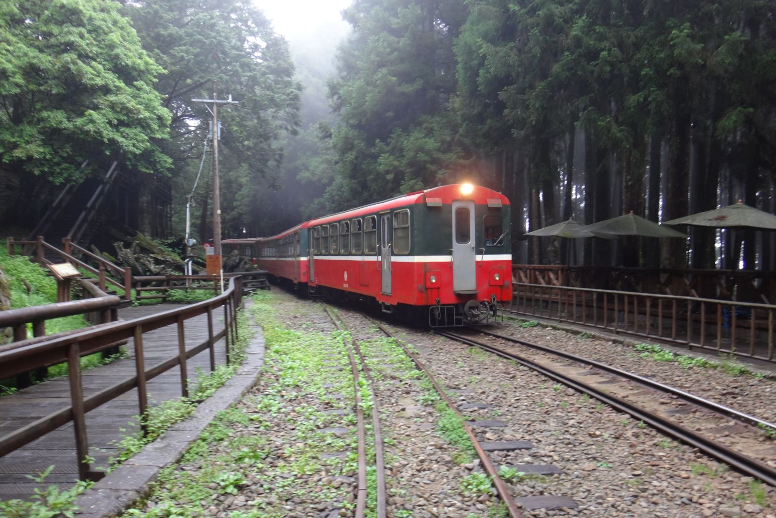 Die alte Schmalspurbahn war ursprünglich dazu gedacht, die Edelhölzer ins Tal hinunter zu transportieren. Heute bringt sie Touristen den Berg hinauf.