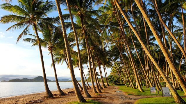 Perfekter Strand nördlich von Cairns nahe Palm Cove