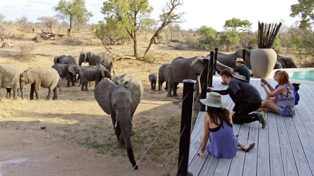 Elefantenbesuch am lodgeeigenen Wasserloch