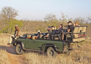 Im offenen Safarifahrzeug durch den Krüger-Nationalpark