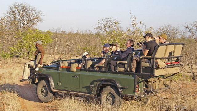Im offenen Safarifahrzeug durch den Krüger-Nationalpark