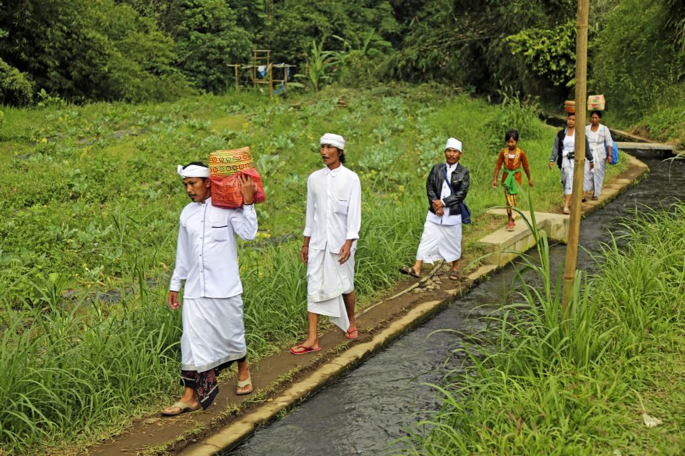 Durch Reisfelder auf dem Weg zum Tempel auf Bali