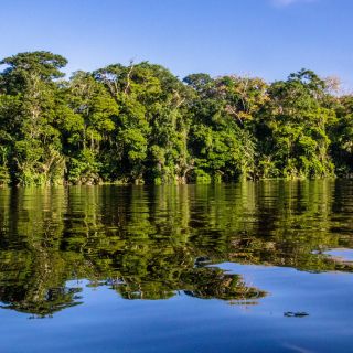 Das ruhige Wasser der Kanäle im Tortuguero-Nationalpark