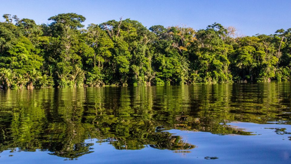 Das ruhige Wasser der Kanäle im Tortuguero-Nationalpark