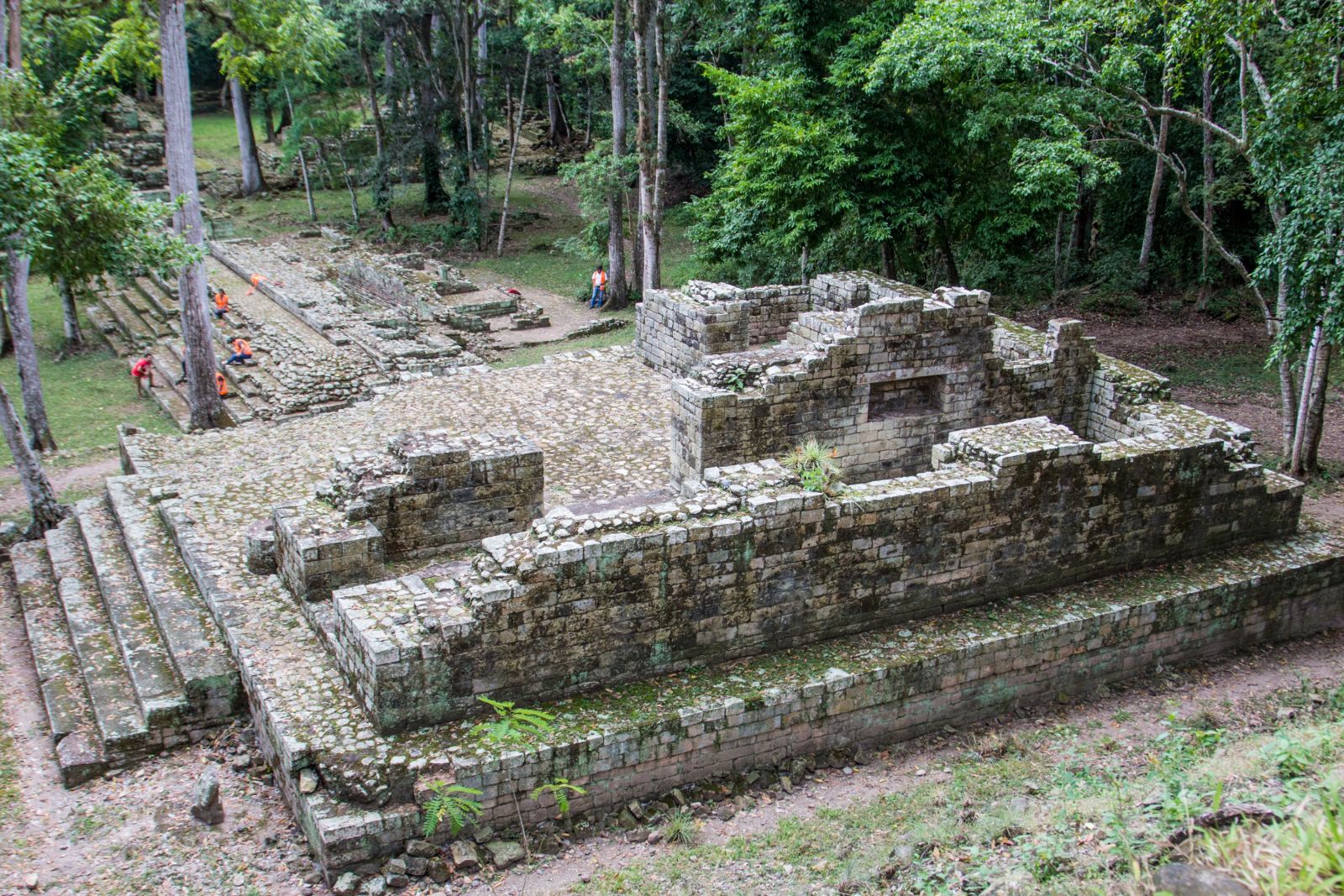 Maya-Ruine im Wald