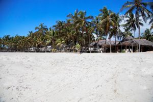 The Coconut Beach Lodge