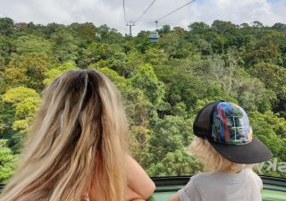 Skyrail, die Gondelbahn durch den Dschungel, gerade für Kinder besonders erlebnisreich