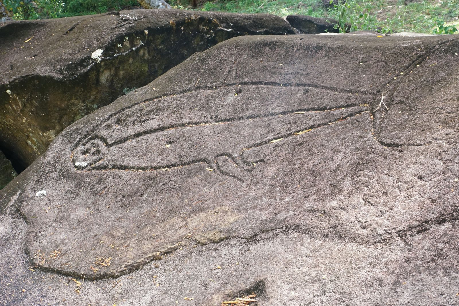 Petroglyphen, uralte, in Stein gehauene Felsbilder, im Dschungel von Fatu Hiva.