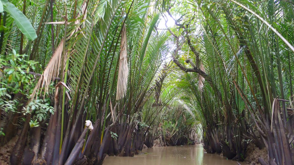 Wasserkokosnuss gesäumte Kanäle im Mekongdelta