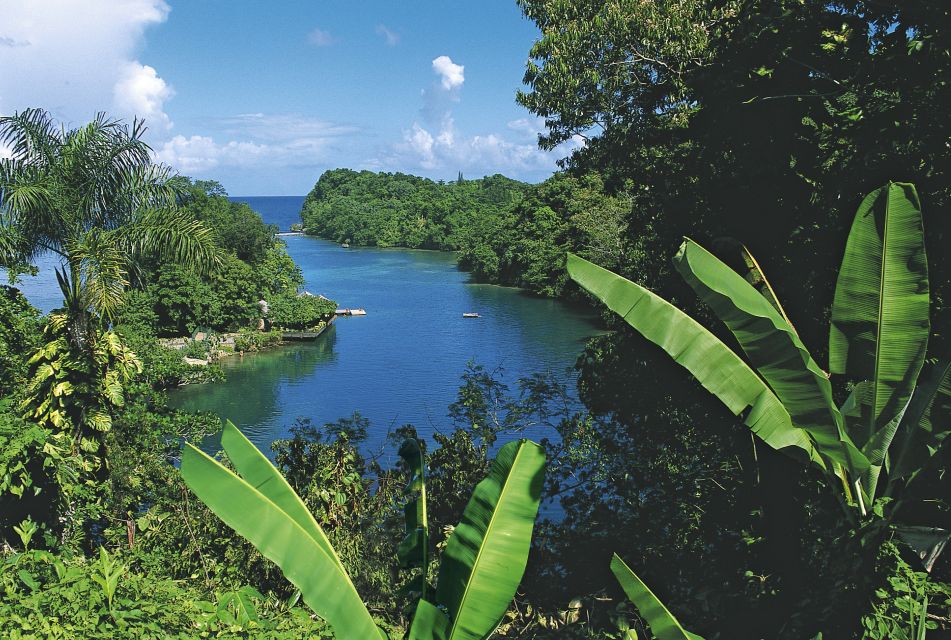 Üppig grüne Vegetation auf Jamaika