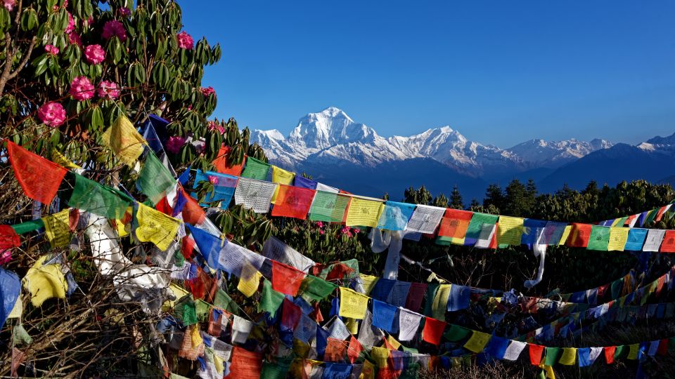 Farbkontraste auf dem Poon Hill (3210 m) in der Annapurna-Region