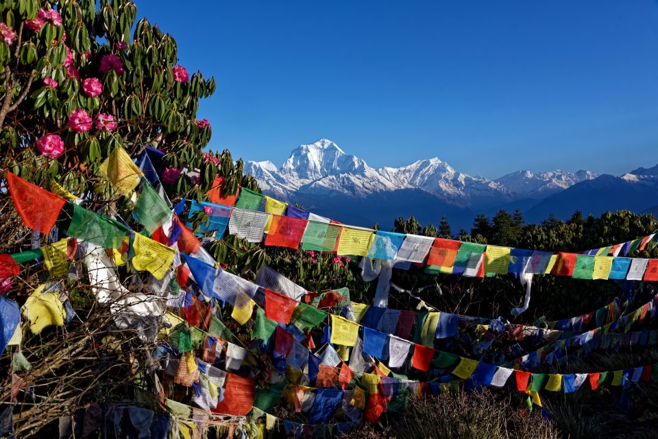 Farbkontraste auf dem Poon Hill (3210 m) in der Annapurna-Region