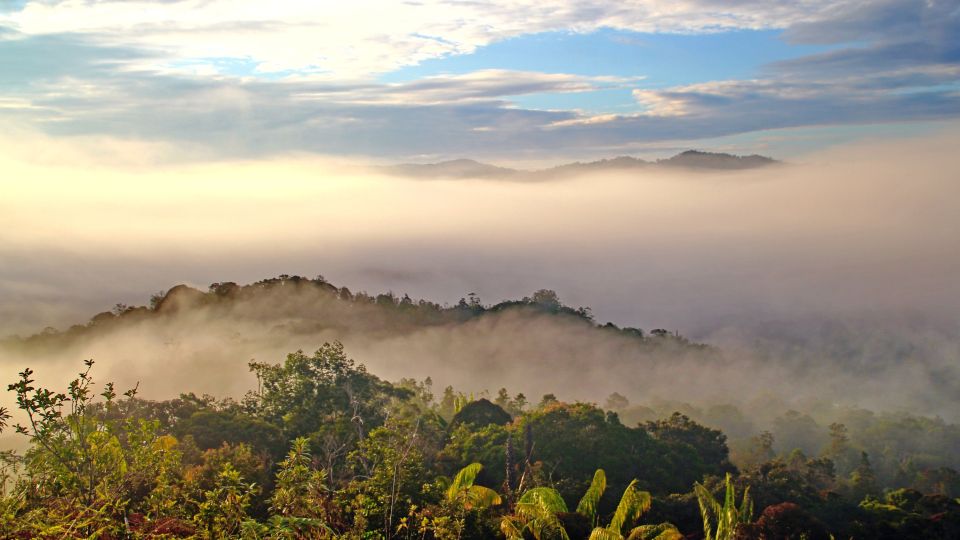 Nebel über Borneo