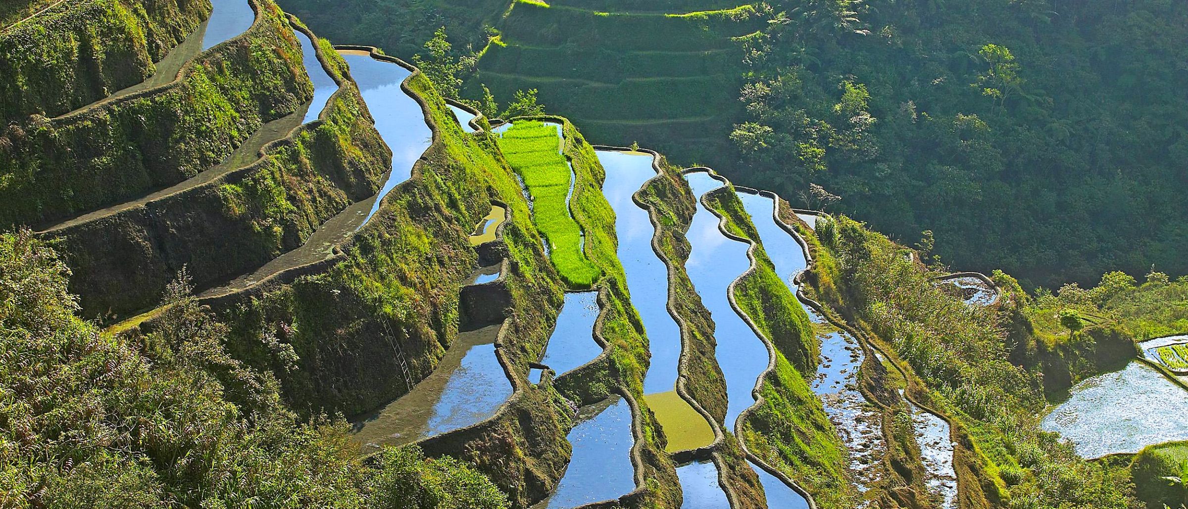 Reisterrassen von Banaue im Norden der Insel Luzón in den philippinischen Zentralkordilleren