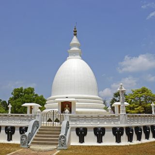 Tempel Dambakola Patuna Sangamitta in Jaffna