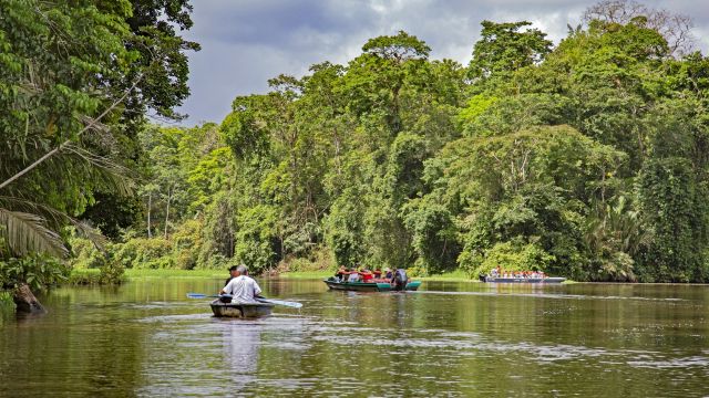 Per kleinem Motorboot erkunden Sie die Kanäle des Tortuguero NP auf der Suche nach seinen tierischen Bewohnern
