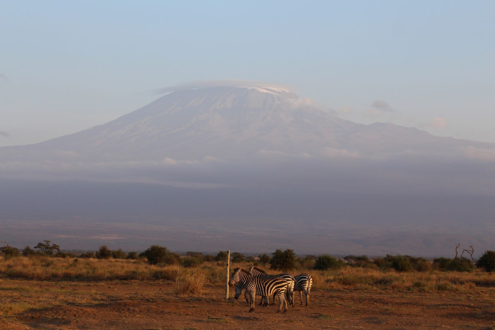 KEN_2019_1SLA_Blick-auf-Kili_Amboseli-Nationalpark-7.jpg