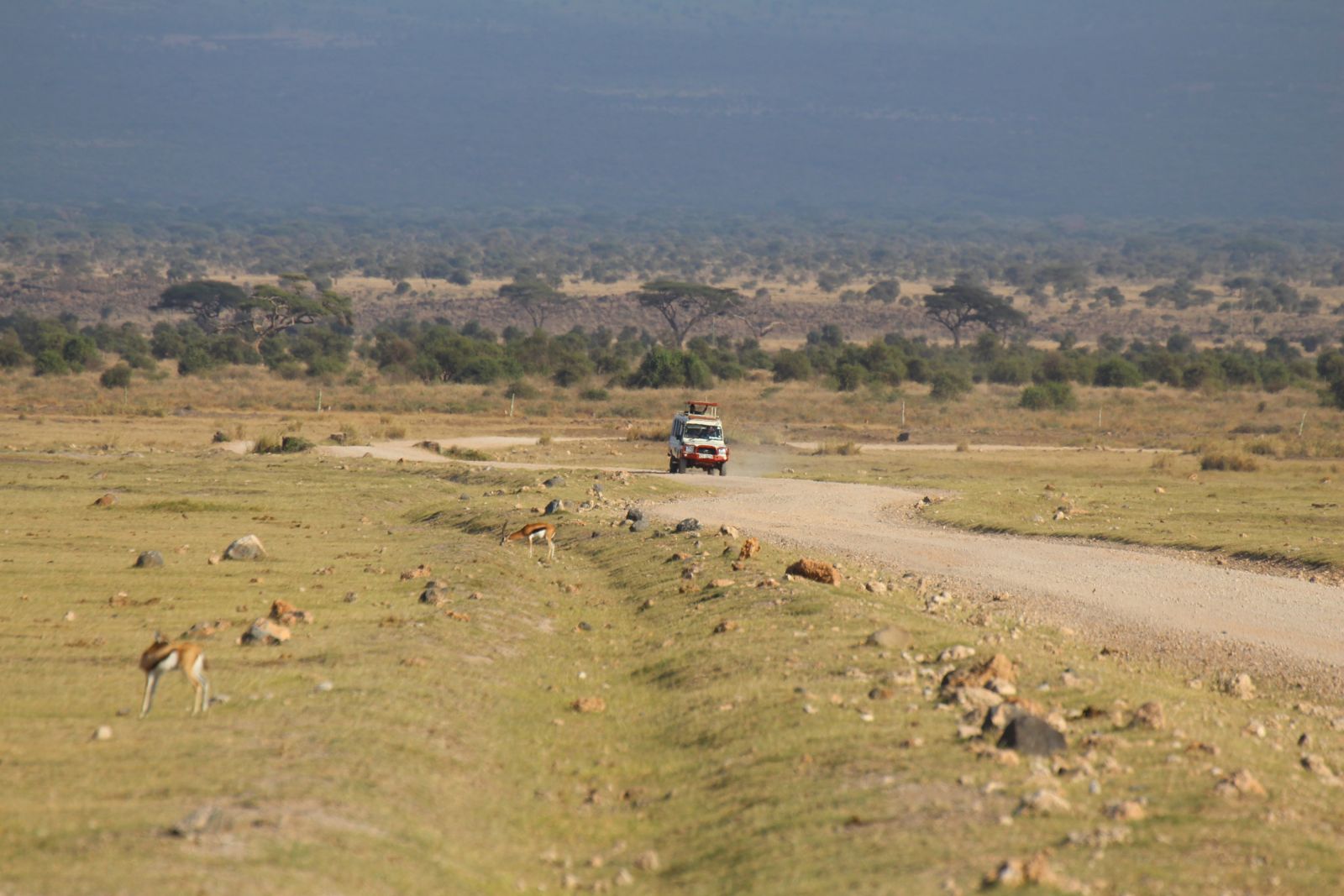 KEN_2019_1SLA_weite-Ebenen-im-Amboseli-Nationalpark-5.jpg