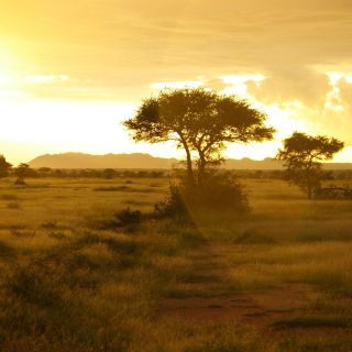 TANLTC_230519_1GVO_Sunset-Serengeti-NP.jpg