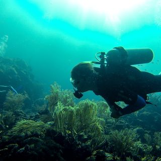 Rund um die Insel Canouan lockt das Korallenriff Besucher unter die Wasseroberfläche